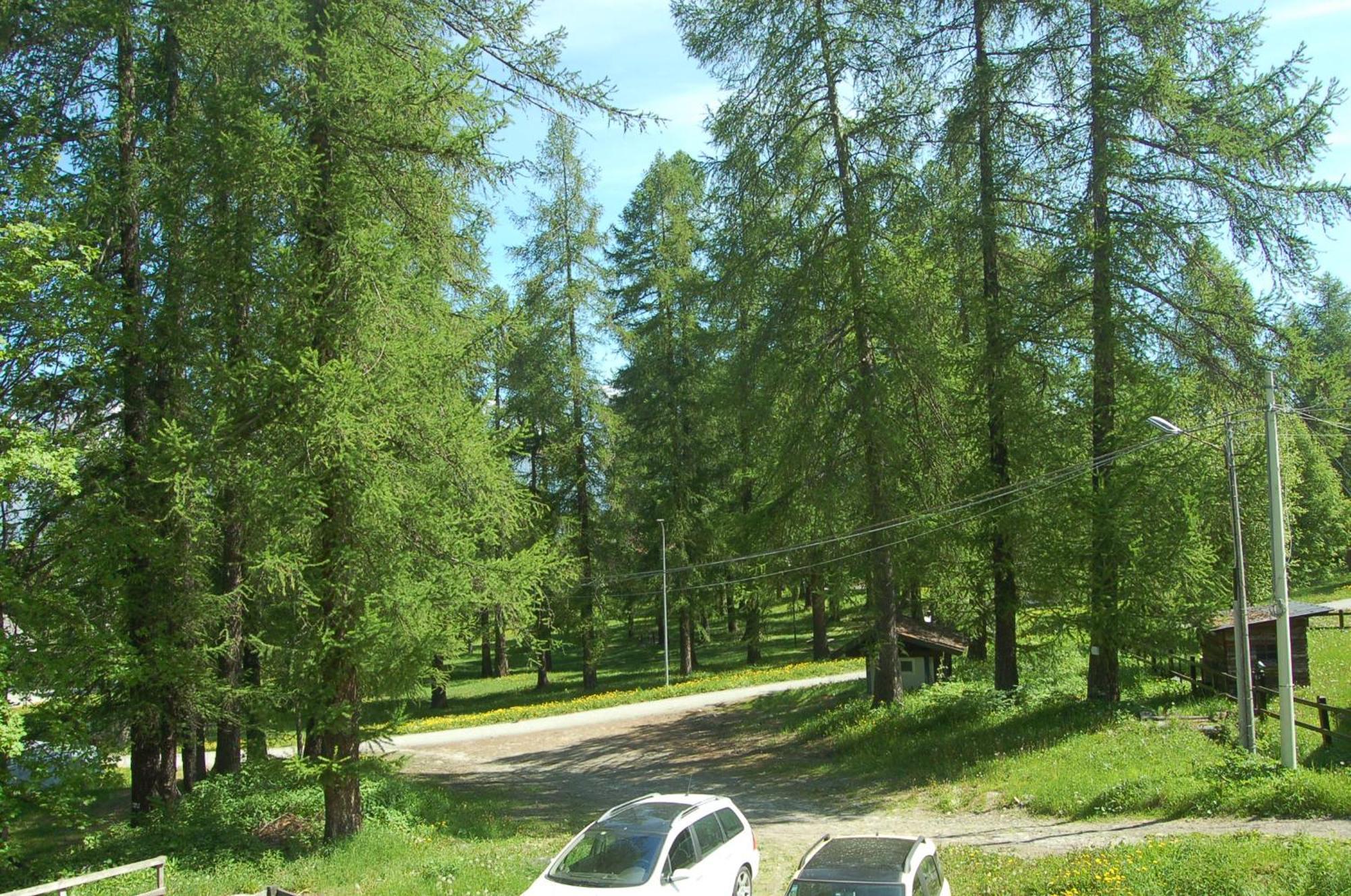 Montagna Che Passione Daire Chiomonte Dış mekan fotoğraf