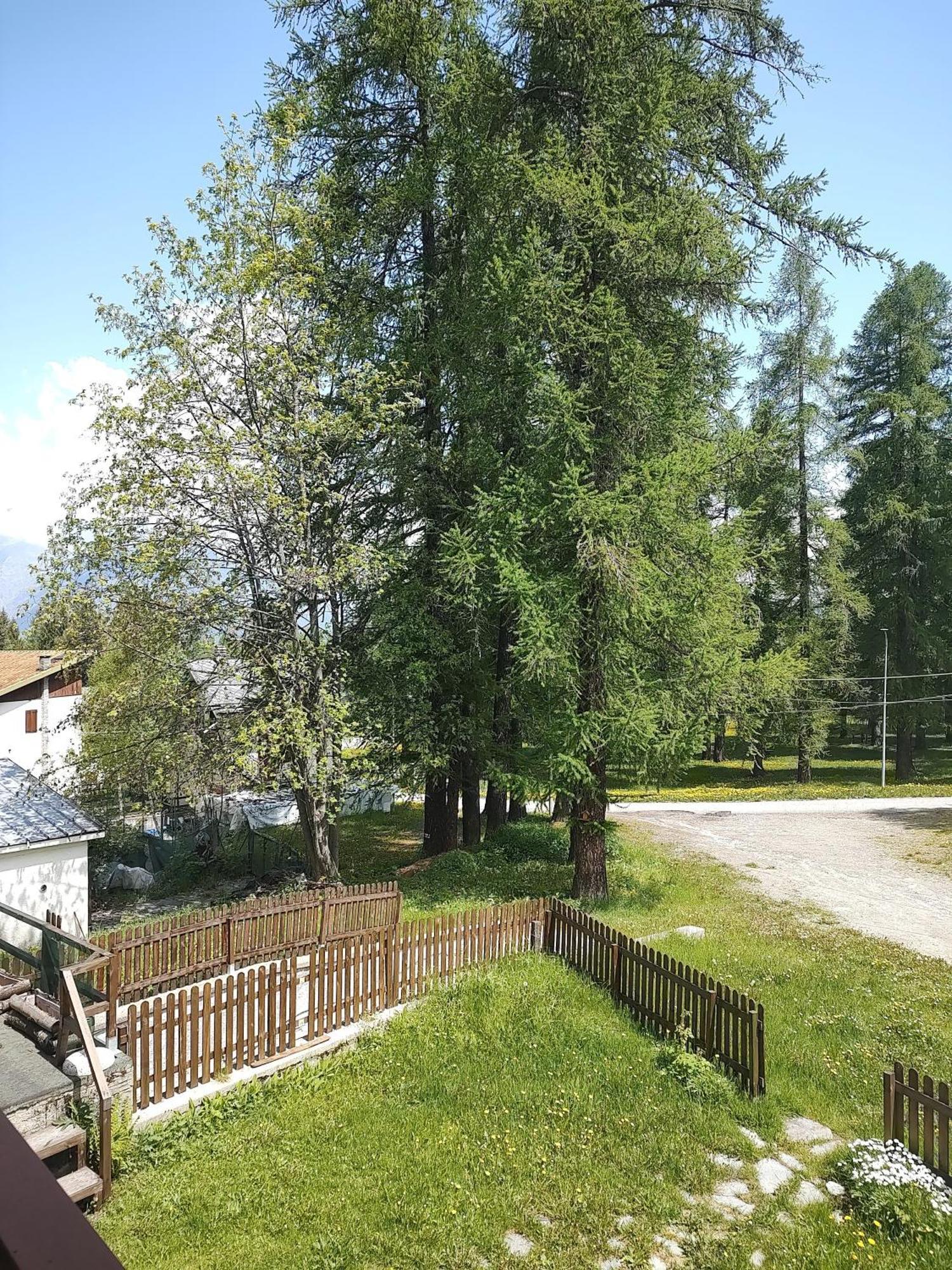 Montagna Che Passione Daire Chiomonte Dış mekan fotoğraf