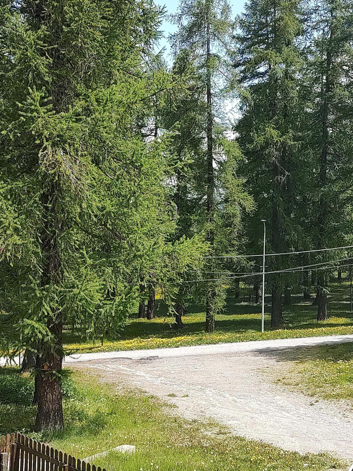 Montagna Che Passione Daire Chiomonte Dış mekan fotoğraf